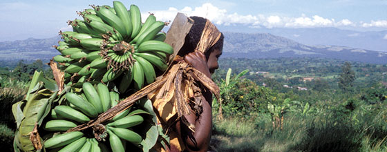 benin2_560