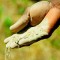 handsoilghana160