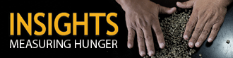 banner of the Insights Magazine - volume 3, issue 1