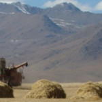 Transformation_Central_Asia_DLtn